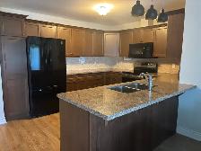 Large 2 Bedroom Plus Den Condo for rent