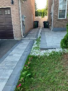 Shared Accommodation Available in Scarborough – From June 1, 202 - Photo 5