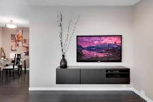 STUNNING FURNISHED 3 BEDROOM ZEN OASIS! - Photo 3