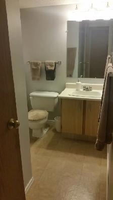 Newly updated 1300 square foot 3 bedroom, 2 bathroom condo. - Photo 5
