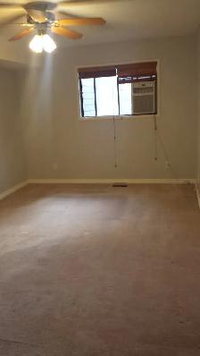 Newly updated 1300 square foot 3 bedroom, 2 bathroom condo. - Photo 8