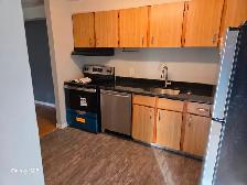 Newly updated 1300 square foot 3 bedroom, 2 bathroom condo. - Photo 9