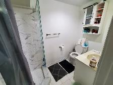 Batchelor basement apartment in Thornhill - Photo 8