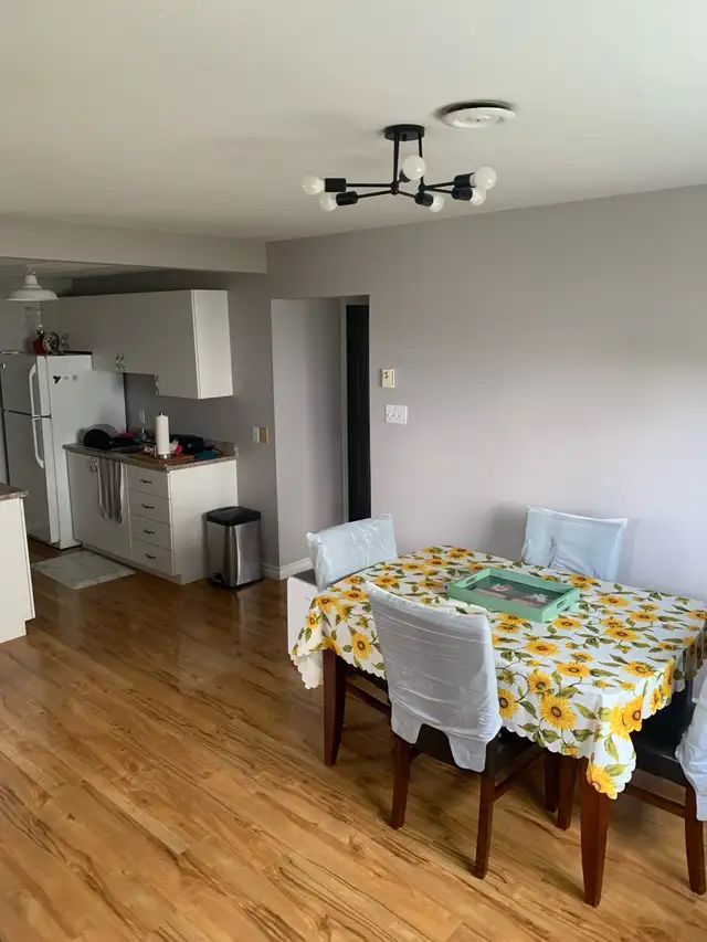apartments for rent