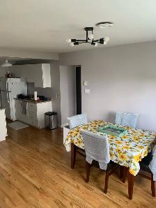 apartments for rent