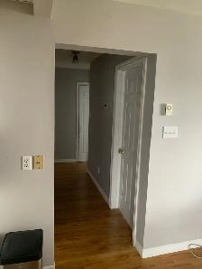 apartments for rent - Photo 4
