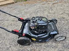Professional Lawn Mower & Small Engine Repa - Photo 3