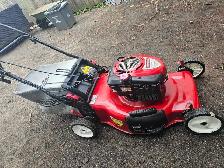 Professional Lawn Mower & Small Engine Repa - Photo 5