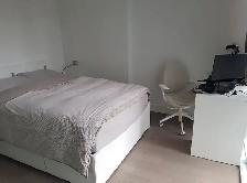 Downtown (Yonge/College) luxury 1 bedroom condo for rent - Photo 5