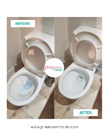 PROFESSIONAL HOUSE CLEANING SERVICES — PINK LEMON MAIDS - Photo 10