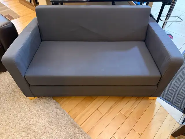Apartment size sofa with pullout mattress…ONLY $95