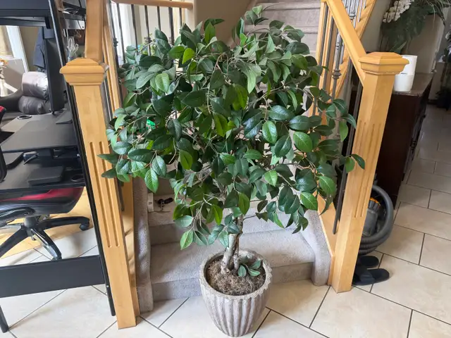 Imitation 3 foot tree…ONLY $30