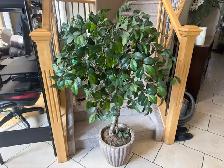 Imitation 3 foot tree…ONLY $30