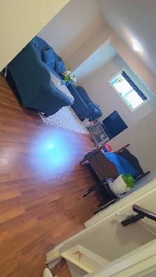 Basement for rent in Laurel Green Edmonton - Photo 5