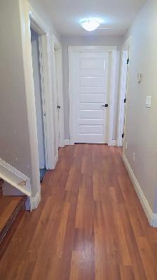 Basement for rent in Laurel Green Edmonton - Photo 9