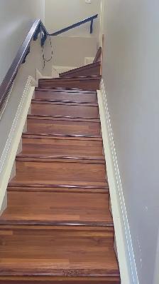 Basement for rent in Laurel Green Edmonton - Photo 10