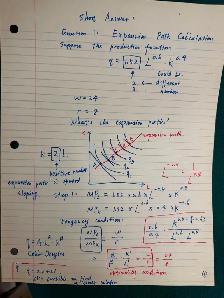 Economics, Calculus & Statistics Tutor 4 UBC, SFU, KPU，BCIT, UCW - Photo 2