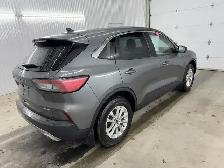 Ford Escape SE TI 2022 à vendre - Photo 7