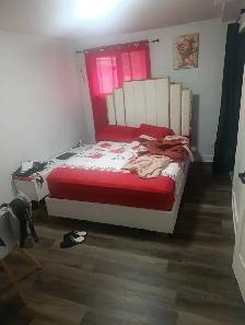 3 1/2 ANJOU (H1K 3G3) DEMI SOUS-SOL - Photo 7