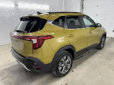 KIA Seltos EX AWD 2024 à vendre - Photo 7