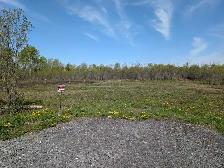 2 Acre Property Ready To Build - Photo 2