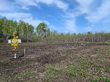 2 Acre Property Ready To Build - Photo 3