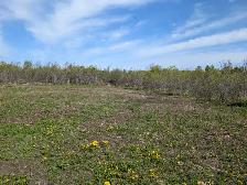 2 Acre Property Ready To Build - Photo 6