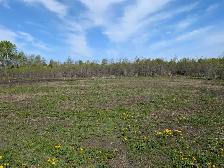 2 Acre Property Ready To Build - Photo 7