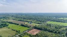 2 Acre Property Ready To Build - Photo 10