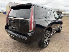 2017 Cadillac Escalade 4WD 4dr Premium Luxury - Photo 8