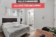 C17 AP2 - 1 STUDIO | FULLY FURNISHED ALL UTILITIES INCLUDED