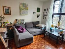 4 1/2 Plateau Mile-End, Août - Photo 3