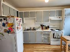 4 1/2 Plateau Mile-End, Août - Photo 9