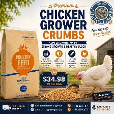 CHICKEN GROWER FEED FOR MEAT BIRDS