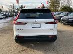2026 Honda CR-V Sport AWD - Photo 22