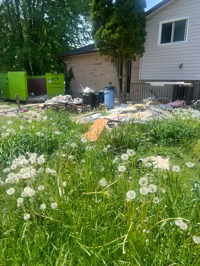 $35/ hour General Labour