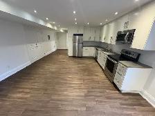 LAWRENCE AND BATHURST BASMENT APARTMENT - Photo 3