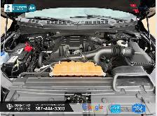 2017 Ford F-150 XLT 4WD SuperCrew 5.5' Box Ecoboost - Brand New - Photo 4