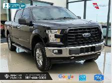 2017 Ford F-150 XLT 4WD SuperCrew 5.5' Box Ecoboost - Brand New - Photo 5