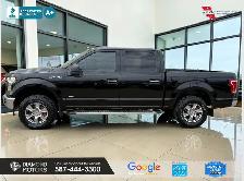 2017 Ford F-150 XLT 4WD SuperCrew 5.5' Box Ecoboost - Brand New - Photo 14