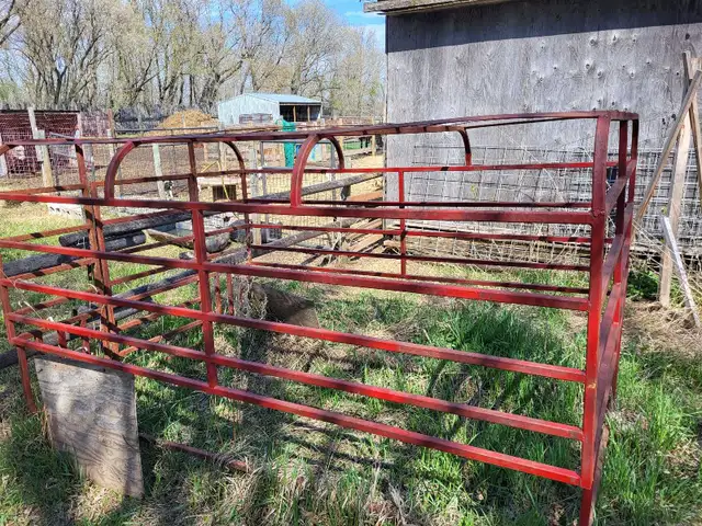 Livestock Carrier for in pickup box