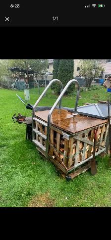 Pool ladder