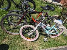 Bikes & Stroller for Sale - Photo 2