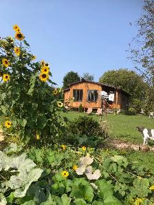 4 season, 2 level cottage - Photo 10