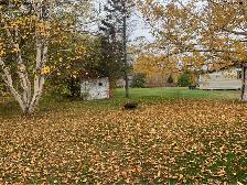 House for sale - Photo 2