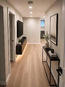 Beautiful 1 Bedroom Basement Apartment