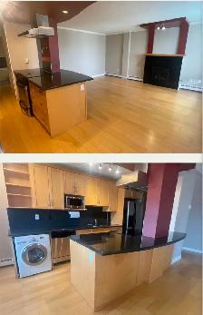 $1450 Long-term 1 bedroom Downtown Condo including all utilities