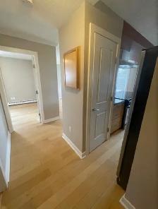 $1450 Long-term 1 bedroom Downtown Condo including all utilities - Photo 6