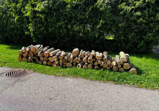 Free firewood