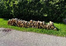 Free firewood